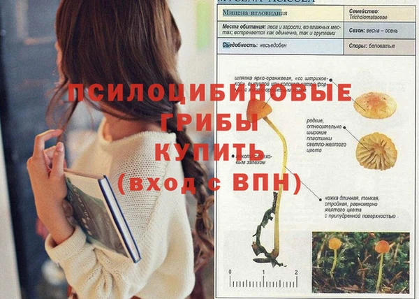 бутират Лихославль