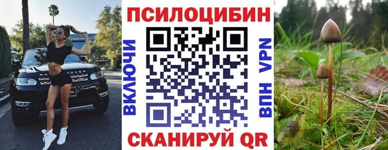 Галлюциногенные грибы мухоморы  Севастополь 