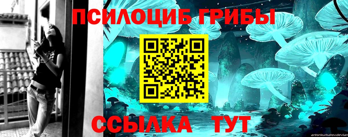 Псилоцибиновые грибы Psilocybine cubensis  Галлюциногенные грибы мухоморы  Вход с VPN  Севастополь 